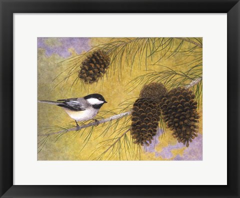 Framed Chickadee in the Pines I Print