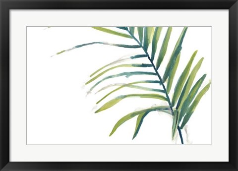 Framed Palm Wonderful V Print