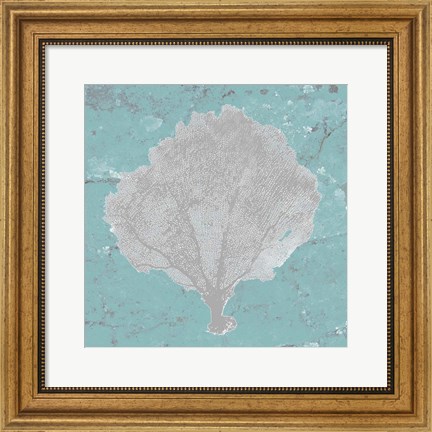 Framed Graphic Sea Fan V Print