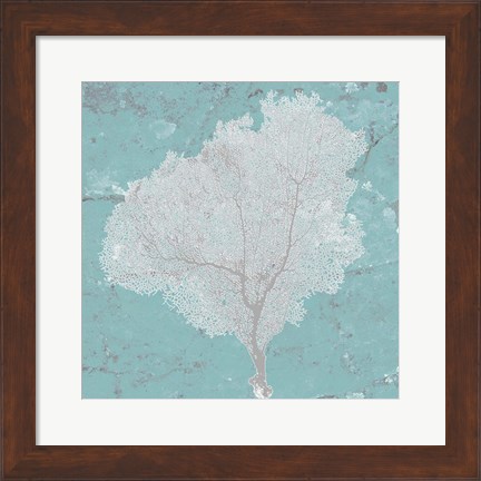 Framed Graphic Sea Fan VII Print