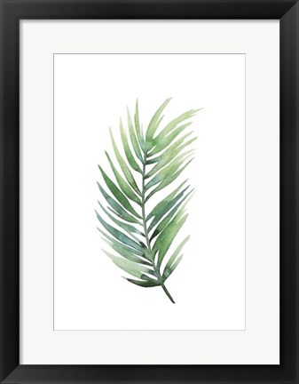 Framed Untethered Palm I Print