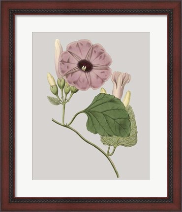 Framed Floral Gems IV Print