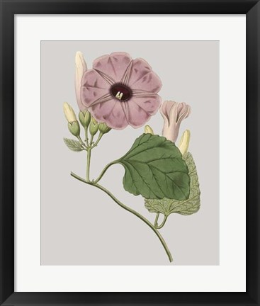 Framed Floral Gems IV Print