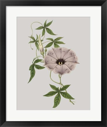 Framed Floral Gems VI Print