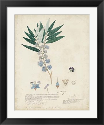 Framed Delicate Blue Descubes I Print