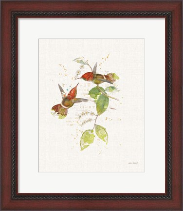Framed Colorful Hummingbirds II Print