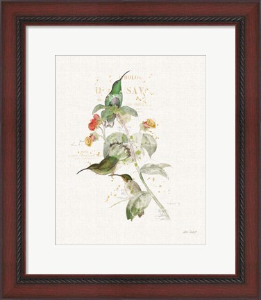 Framed Colorful Hummingbirds III Print