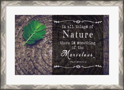 Framed In all things of Nature Print
