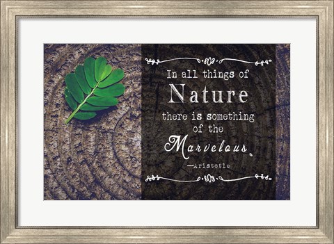 Framed In all things of Nature Print