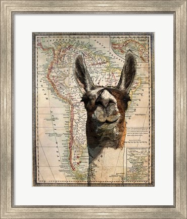 Framed South America Llama Map Print