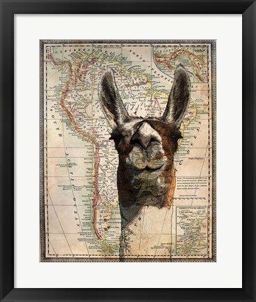 Framed South America Llama Map Print