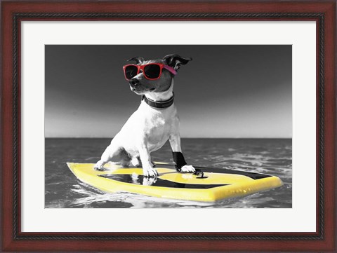 Framed Pop of Color Surf&#39;s Up Dog Print