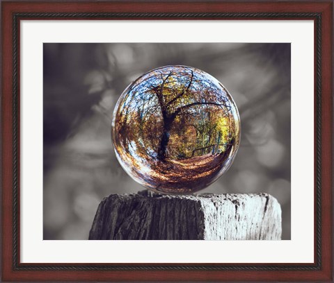 Framed Pop of Color Glass Sphere Print