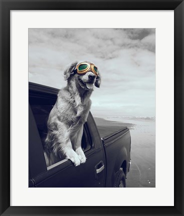 Framed Pop of Color Cool Dog Print