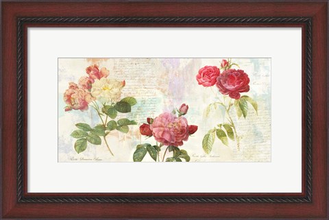 Framed Redoute&#39;s Roses 2.0 Print