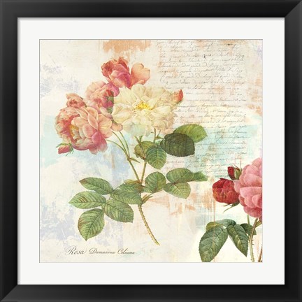 Framed Redoute&#39;s Roses 2.0 I Print