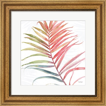 Framed Tropical Blush VI Print