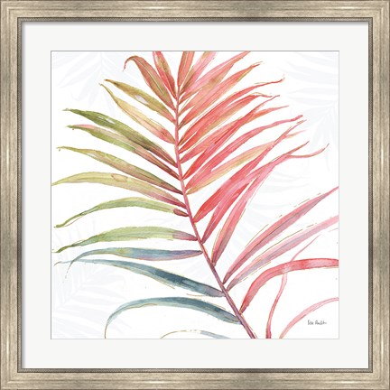 Framed Tropical Blush VI Print