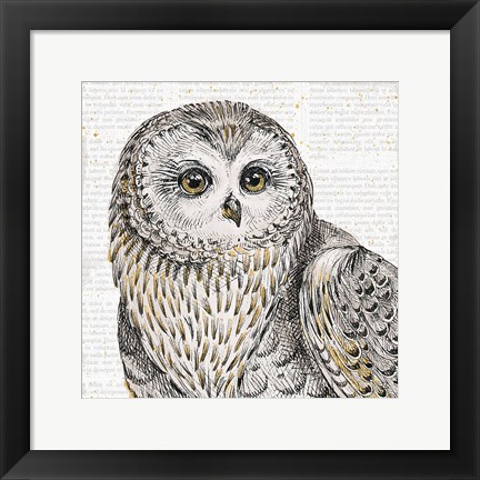 Framed Beautiful Owls II Print