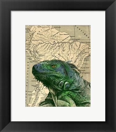 Framed Brazilian Iguana Print