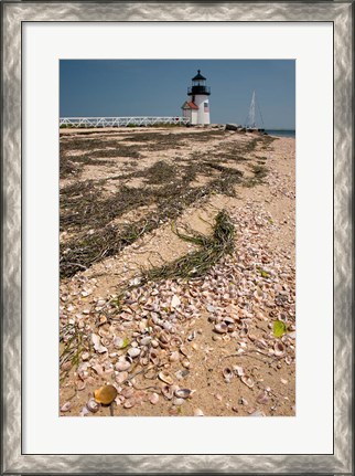 Framed Nantucket Shell in front of Brant Point lighthouse Print