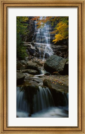 Framed Waterfall in a forest, Arethusa Falls, Crawford Notch State Park, New Hampshire, New England Print