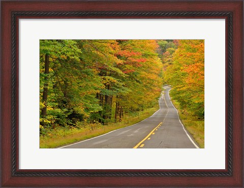 Framed Roadway through White Mountain National Forest, New Hampshire Print