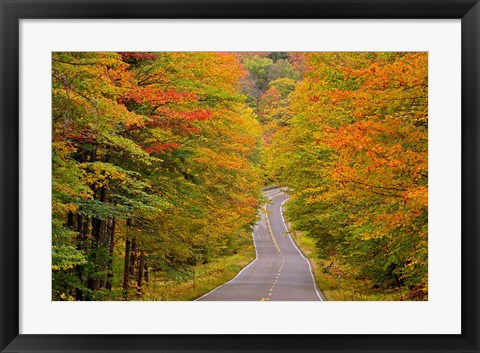 Framed White Mountain National Forest, New Hampshire Print