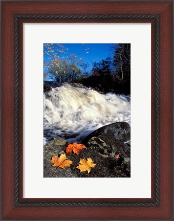 Framed Maple Leaves and Wadleigh Falls on the Lamprey River, New Hampshire Print