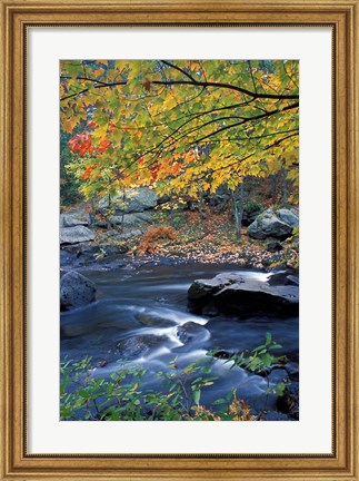 Framed Packers Falls on the Lamprey River, New Hampshire Print