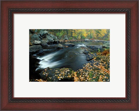 Framed Autumn Leaves at Packers Falls on the Lamprey River, New Hampshire Print
