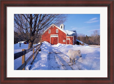 Framed Pony and Barn near the Lamprey River in Winter, New Hampshire Print