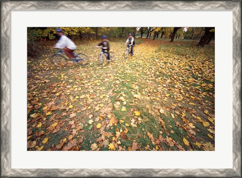 Framed Riding Bikes in Late Fall, New Hampshire Print