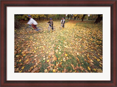 Framed Riding Bikes in Late Fall, New Hampshire Print