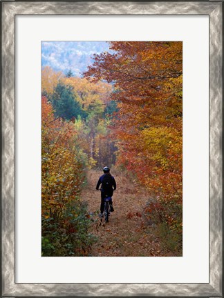 Framed Mountain Biking on Old Logging Road, New Hampshire Print