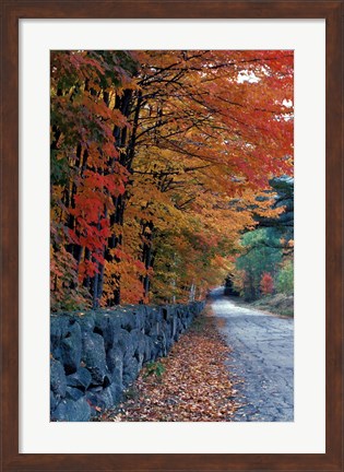 Framed Fall Colors in the White Mountains, New Hampshire Print