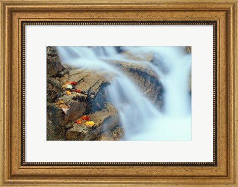 Framed Pearl Cascade on the Avalon Trail, New Hampshire Print