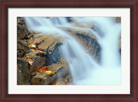 Framed Pearl Cascade on the Avalon Trail, New Hampshire Print