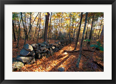 Framed Stone Wall, Nature Conservancy Land Along Crommett Creek, New Hampshire Print