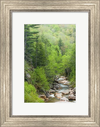 Framed Spring on the Pemigewasset River, Flume Gorge, Franconia Notch State Park, New Hampshire Print