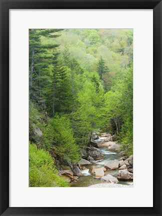 Framed Spring on the Pemigewasset River, Flume Gorge, Franconia Notch State Park, New Hampshire Print