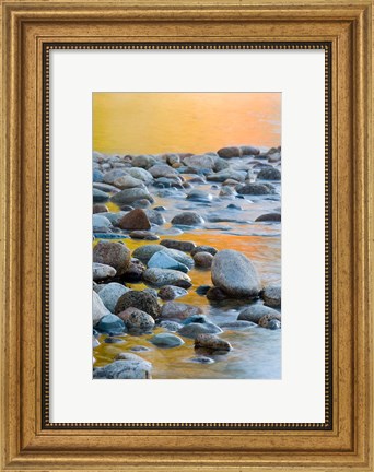 Framed Fall Reflections Among the Cobblestones in the Saco River, White Mountains, New Hampshire Print
