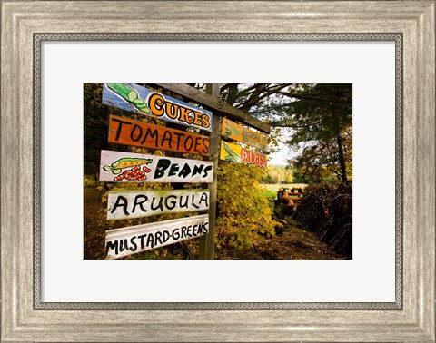 Framed farm stand, Holderness, New Hampshire Print