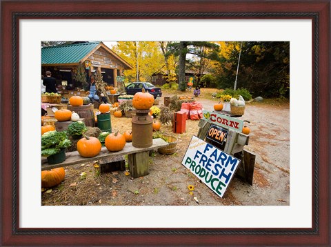 Framed Farm stand, Holderness, New Hampshire Print