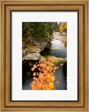 Framed Upper Falls on the Ammonoosuc River, White Mountains, New Hampshire Print
