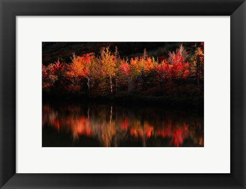 Framed Fall Foliage with Reflections, New Hampshire Print