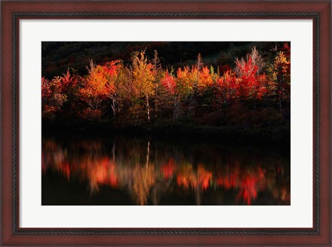 Framed Fall Foliage with Reflections, New Hampshire Print