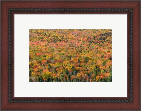 Framed New Hampshire, White Mountains, Autumn Print