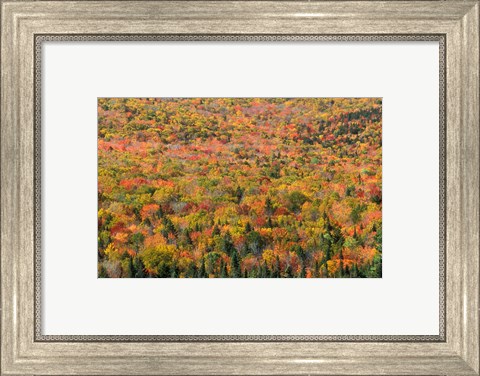 Framed New Hampshire, White Mountains, Autumn Print