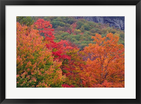Framed Bemis Falls Trail, Crawford Notch State Park, New Hampshire Print